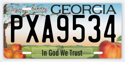 GA license plate PXA9534