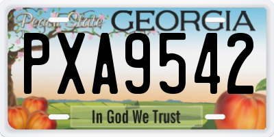 GA license plate PXA9542