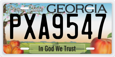 GA license plate PXA9547
