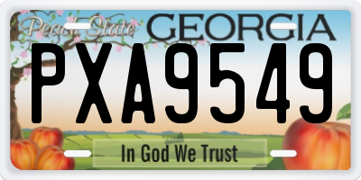 GA license plate PXA9549