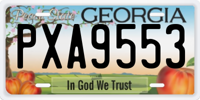 GA license plate PXA9553