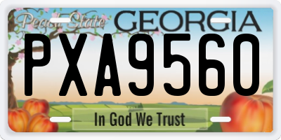 GA license plate PXA9560