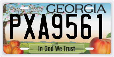 GA license plate PXA9561