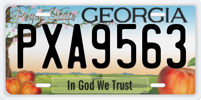 GA license plate PXA9563