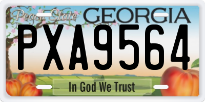 GA license plate PXA9564