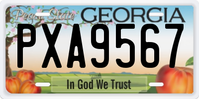 GA license plate PXA9567