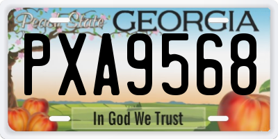 GA license plate PXA9568