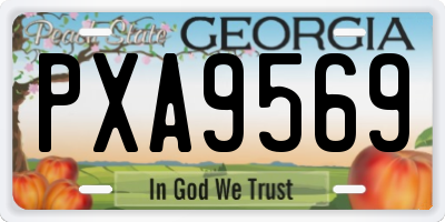 GA license plate PXA9569
