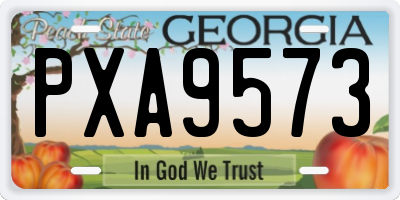 GA license plate PXA9573