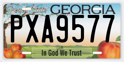 GA license plate PXA9577