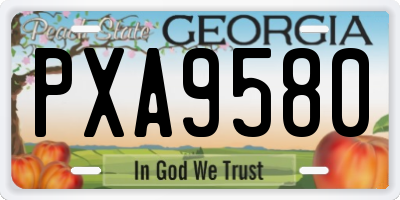 GA license plate PXA9580