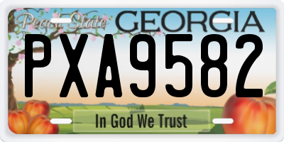 GA license plate PXA9582