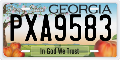 GA license plate PXA9583