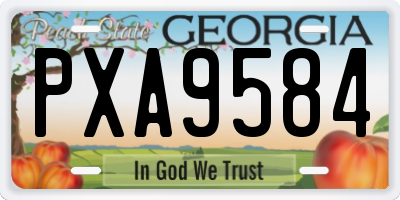 GA license plate PXA9584