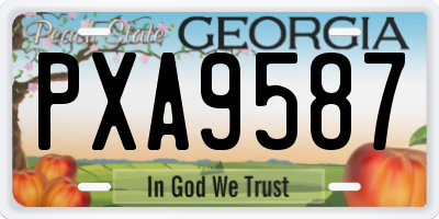 GA license plate PXA9587