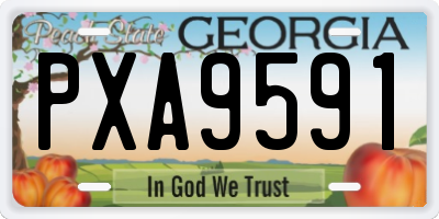 GA license plate PXA9591