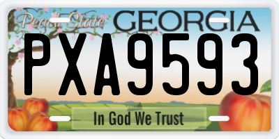 GA license plate PXA9593