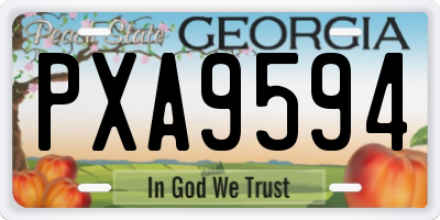 GA license plate PXA9594