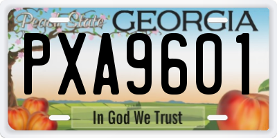 GA license plate PXA9601