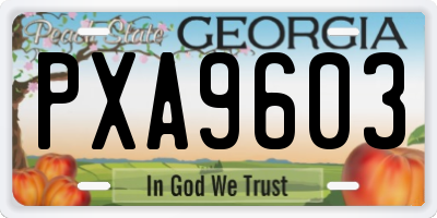 GA license plate PXA9603