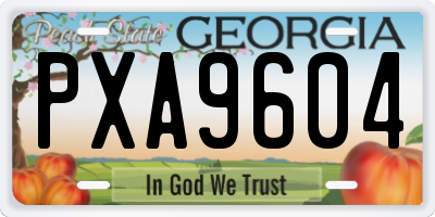 GA license plate PXA9604