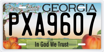 GA license plate PXA9607