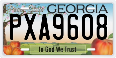GA license plate PXA9608