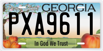 GA license plate PXA9611