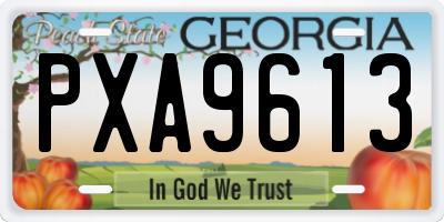 GA license plate PXA9613
