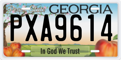 GA license plate PXA9614
