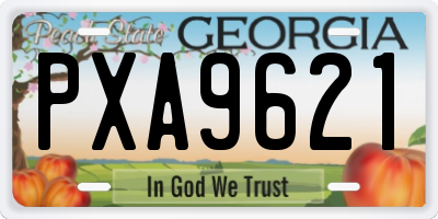 GA license plate PXA9621