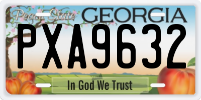 GA license plate PXA9632