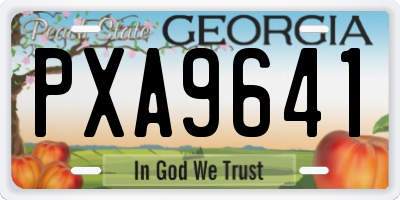 GA license plate PXA9641