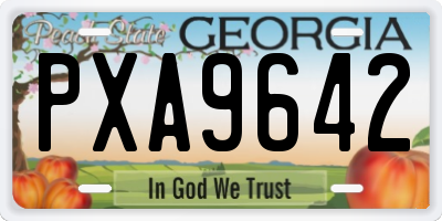 GA license plate PXA9642