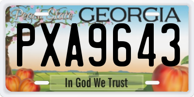 GA license plate PXA9643