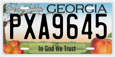 GA license plate PXA9645