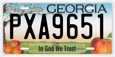 GA license plate PXA9651