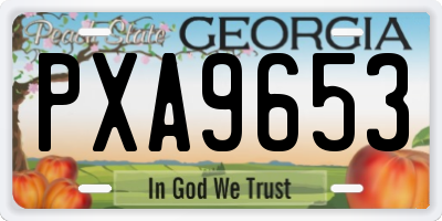 GA license plate PXA9653