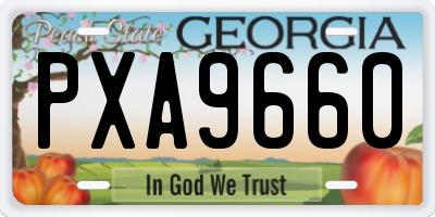 GA license plate PXA9660