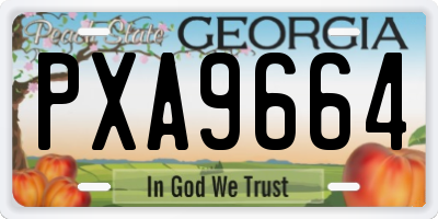 GA license plate PXA9664