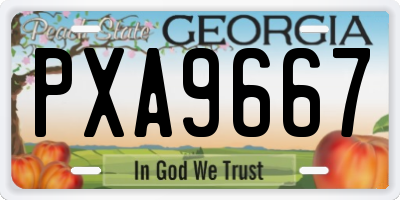 GA license plate PXA9667
