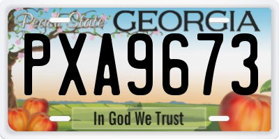 GA license plate PXA9673