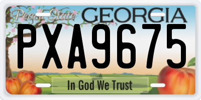 GA license plate PXA9675