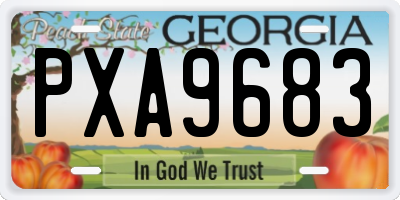 GA license plate PXA9683