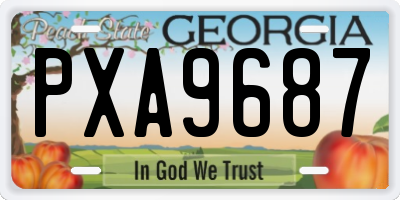 GA license plate PXA9687