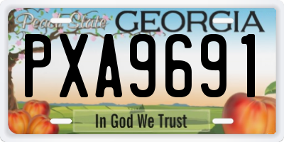 GA license plate PXA9691