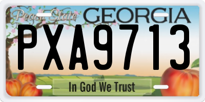 GA license plate PXA9713