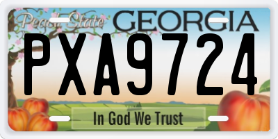 GA license plate PXA9724