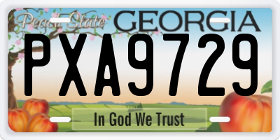 GA license plate PXA9729
