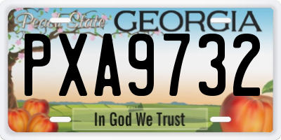 GA license plate PXA9732